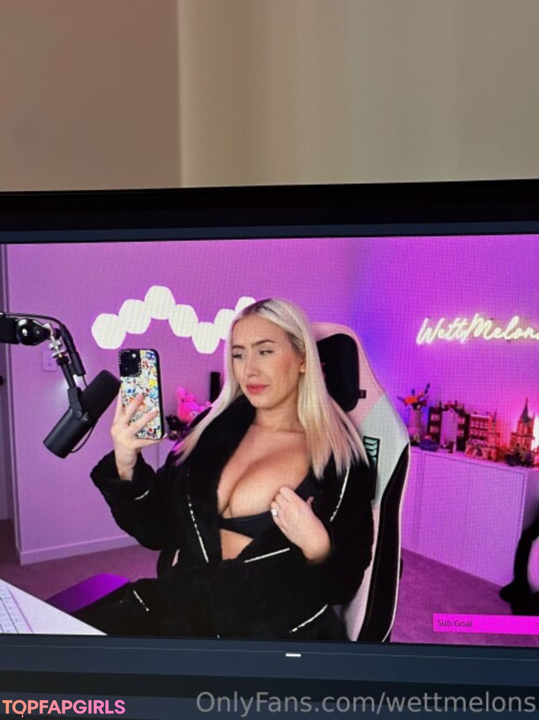 Photo nue de fuite OnlyFans de Wettmelons #949
