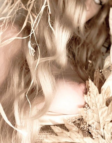 Lady Willow Wood