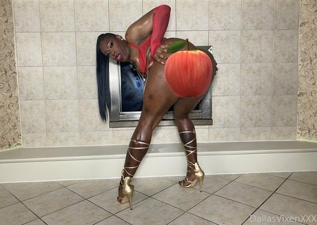 Dallasvixenxxxfree