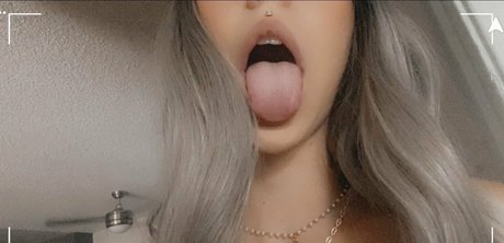 Dollyhazed