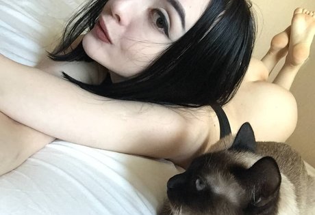 Photo nue de fuite OnlyFans de Shadowshine5
