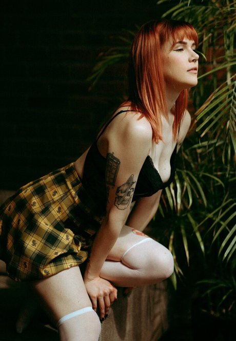 Rosemoontv