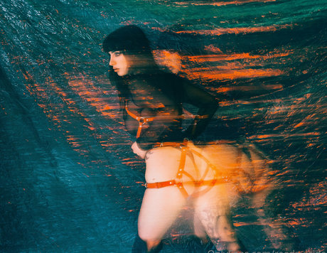Reedsuicide