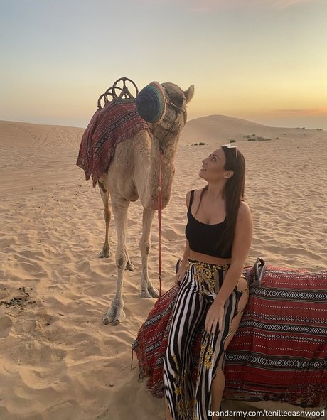 Tenille Dashwood