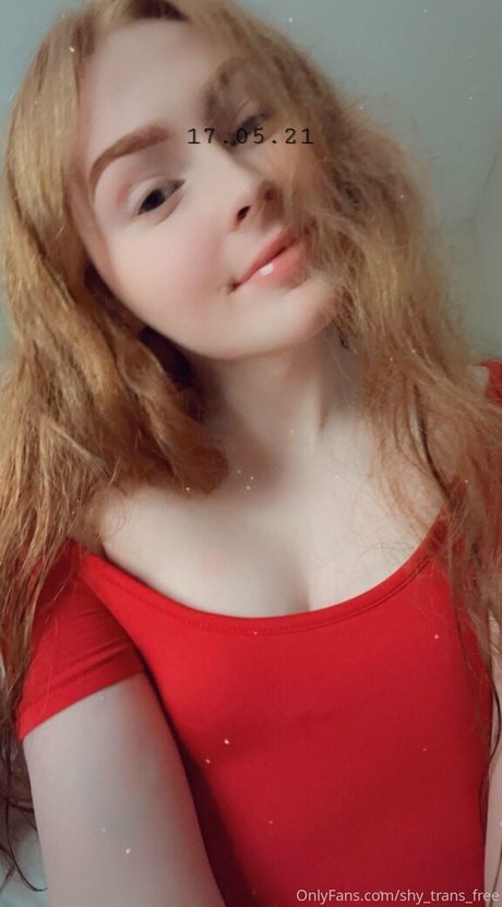Shytransfree