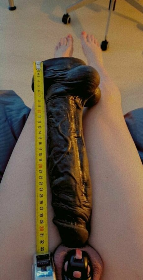 Sissystephaniex