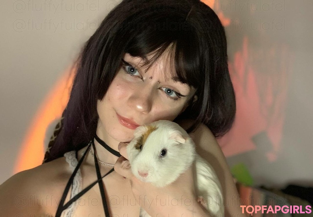 Photo nue de fuite OnlyFans de Fluffyfulafel #1078