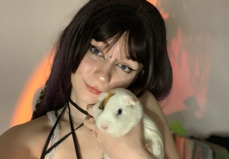 Fluffyfulafel
