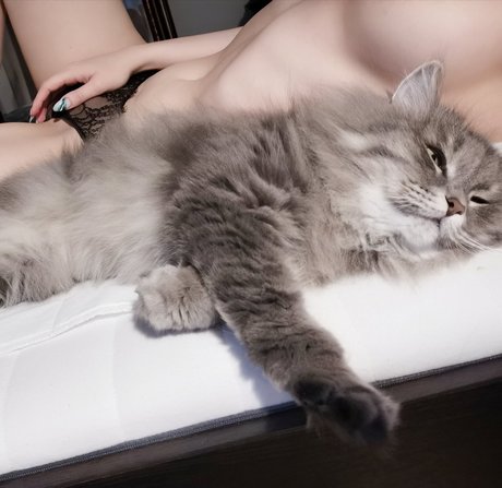 Naughtybutnice