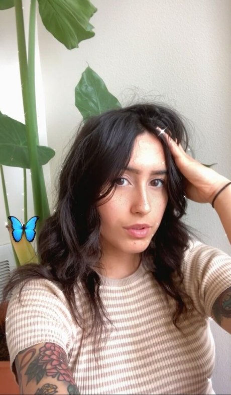 Lenamarisol
