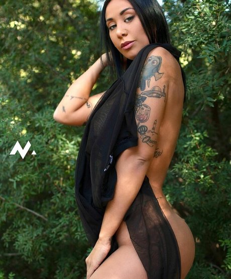 Latiguerita