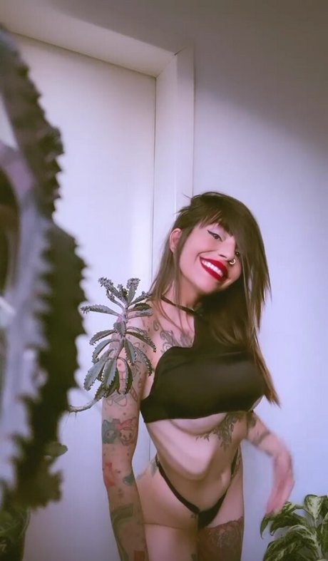 Lellycristie