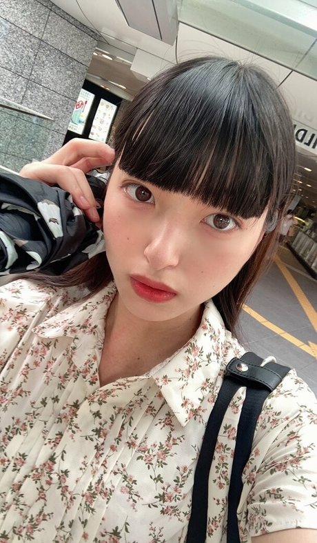 Shabbyjapan