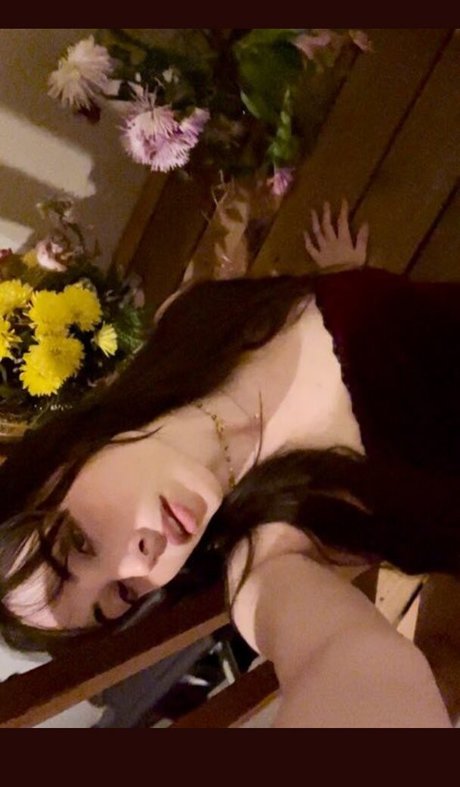 Purrityy