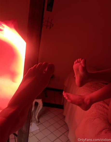 Zholograma