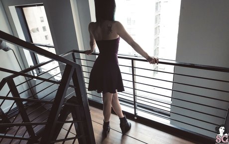 Laneibadhabit