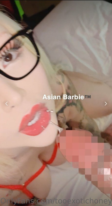 Asian Barbie Tina