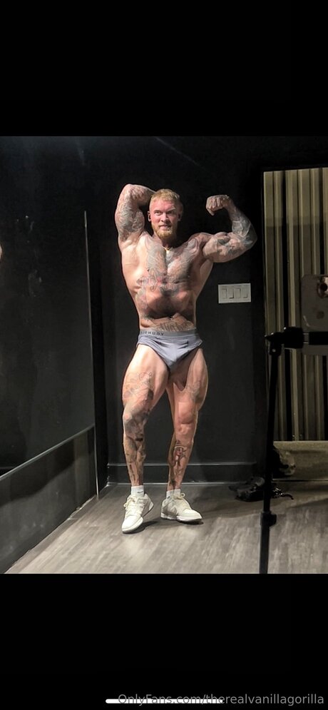 Photo nue de fuite OnlyFans de Therealvanillagorilla