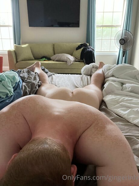 Gingerinlv