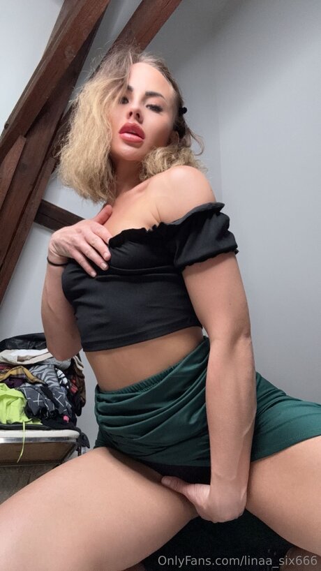 Linaa Six666
