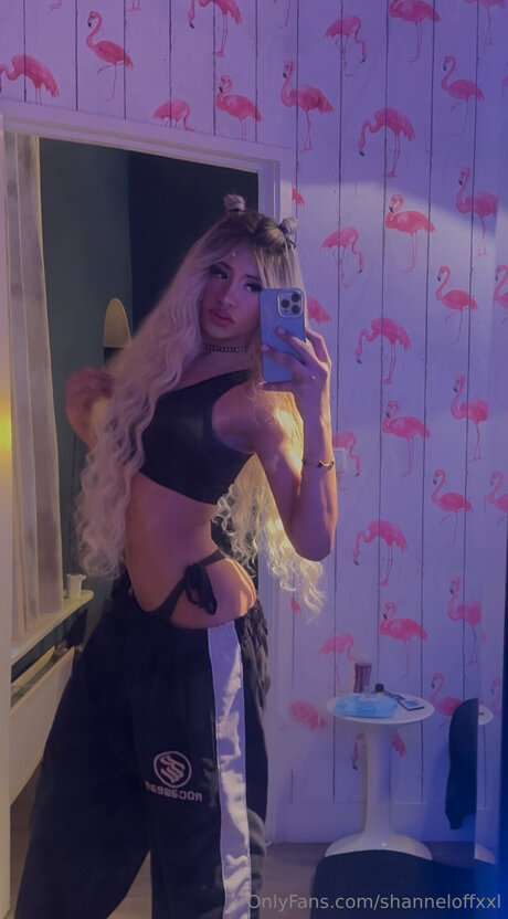 Photo nue de fuite OnlyFans de Shanneloffxxl