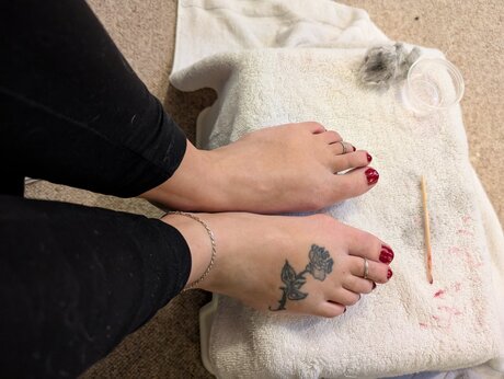 Barefoot Bunny B