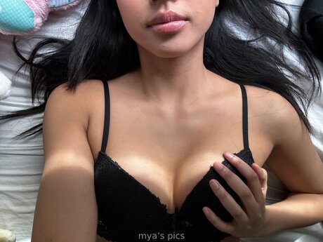 Myaarawrr
