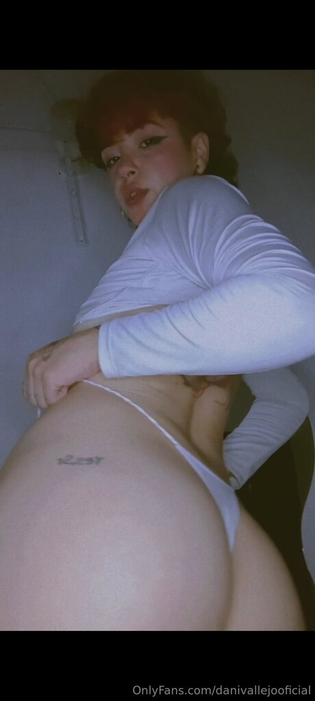 Danivallejooficial