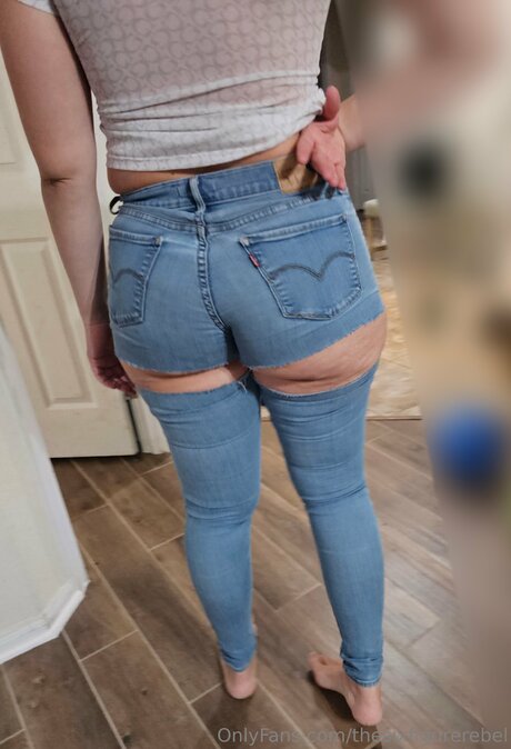 Thesixfigurerebel