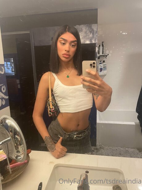 Tsdreaindia