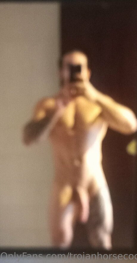 Trojanhorsecock9inches