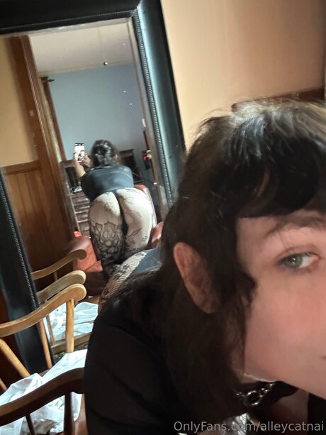 Alleycatnai