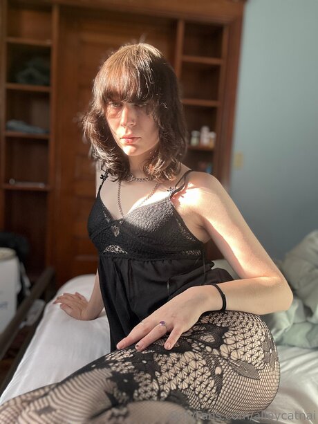 Alleycatnai