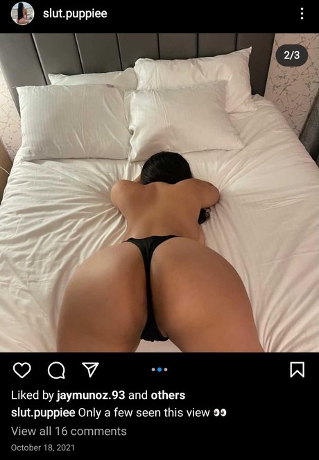 Photo nue de fuite OnlyFans de Slut Puppie