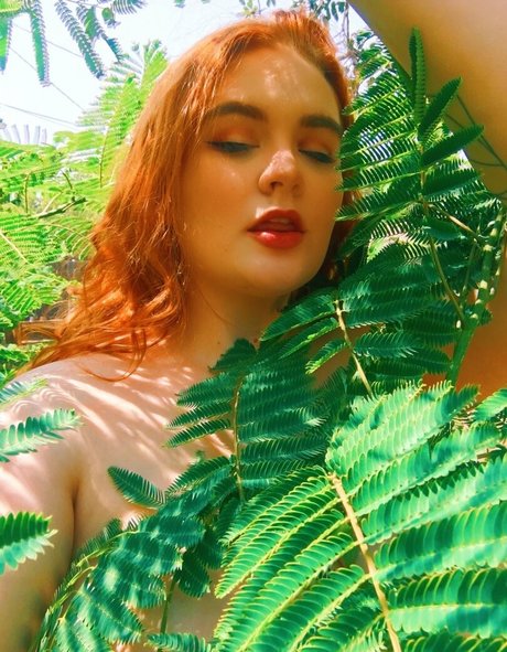 Allisonivyx