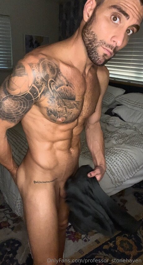 Professor Stonehaven