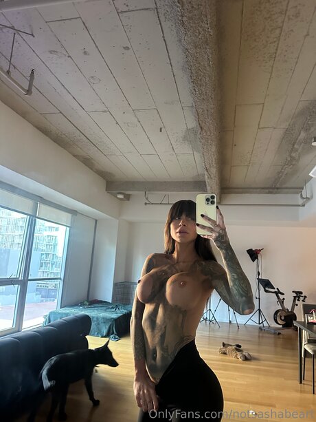 Notsashabeart