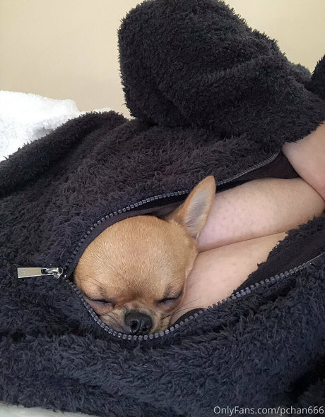 Photo nue de fuite OnlyFans de Pchan666