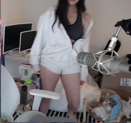 Ariasaki