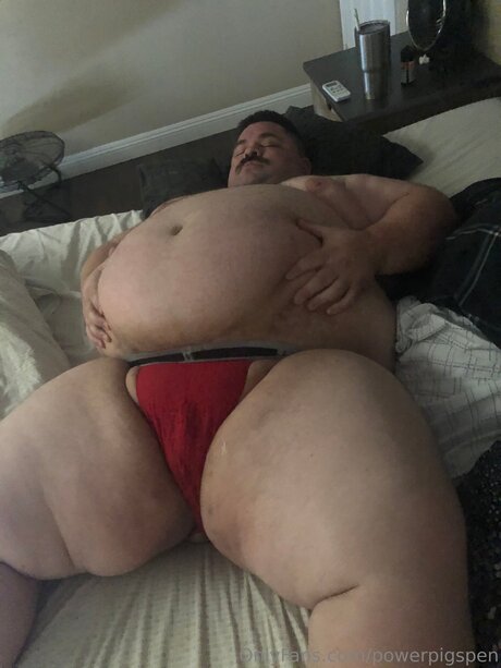 Powerpigspen