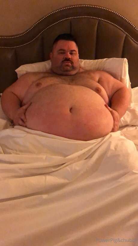 Powerpigspen