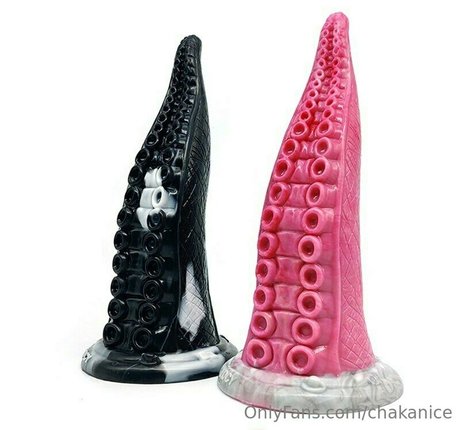 Chakanice