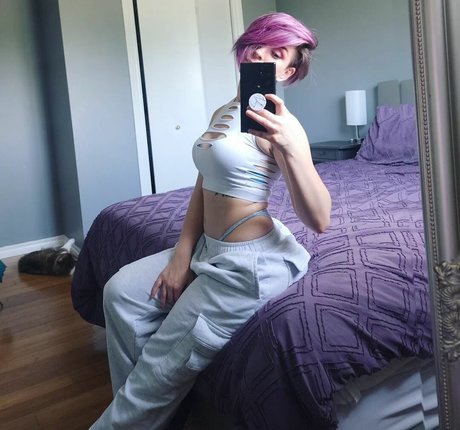 Aurorastarr