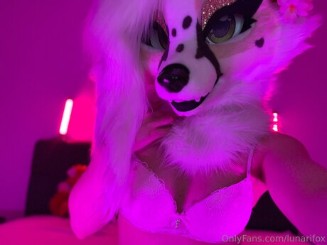 Lunarifox