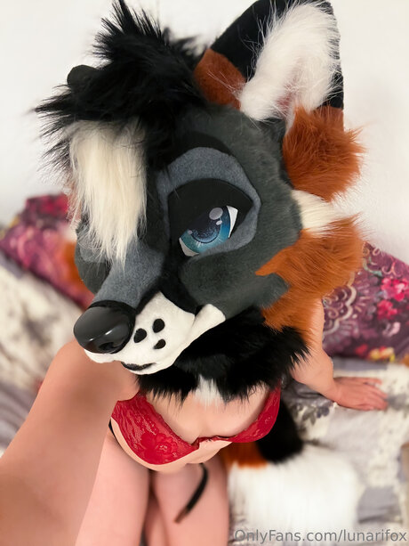 Lunarifox