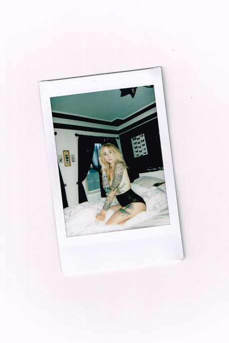 Alysha Nett