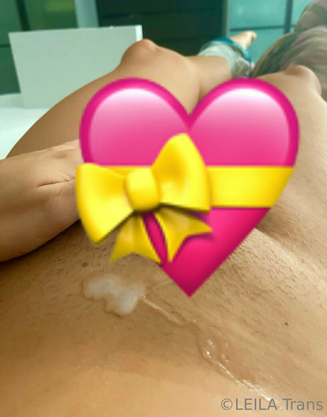 Leilatrans