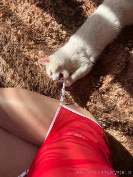 Photo nue de fuite OnlyFans de Crystal P