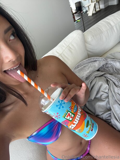 Chantellesia