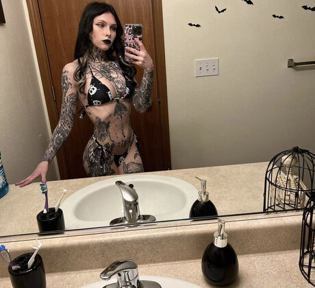 Tyniquewebster